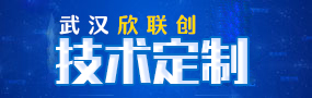 武漢欣聯(lián)創(chuàng)技術定制